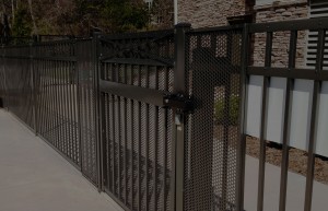 Special Gates
