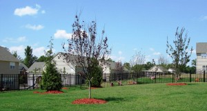 Sentinel Fence