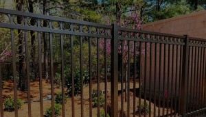 Sentinel Fence