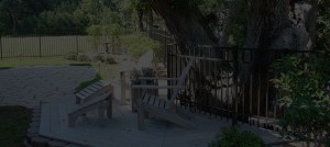 Sentinel Fence